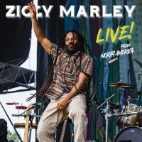 Ziggy Marley - 