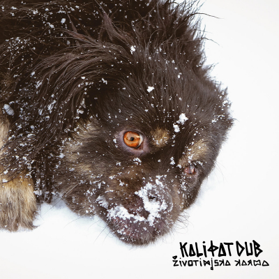 Kali Fat Dub - "Životinjska karma"
