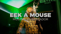 Eek A Mouse & Irie Ites - 
