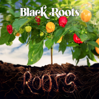 Black Roots - 