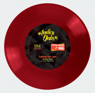 Danny Red &amp; Vibronics &amp; Indica Dubs - &quot;Calling For Jah&quot;