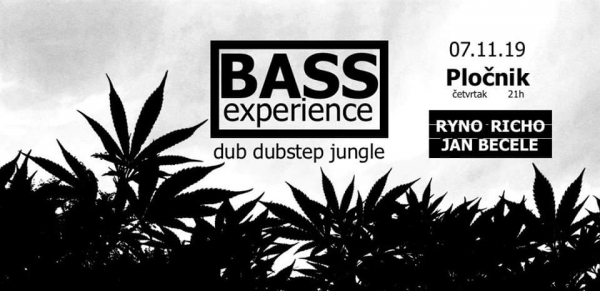 Bass Experience u Pločniku