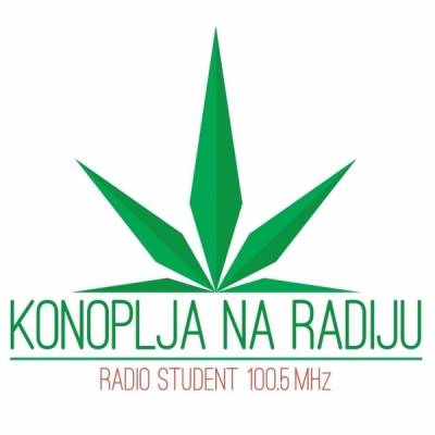 Konoplja na Radiju - Legalizacija kanabisa u BiH