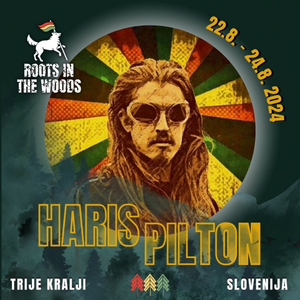 Haris Pilton na Roots In The Woods Festivalu