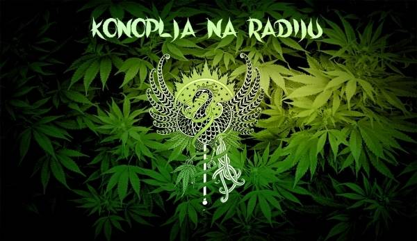 Konoplja na Radiju - povijest konoplje u medicini