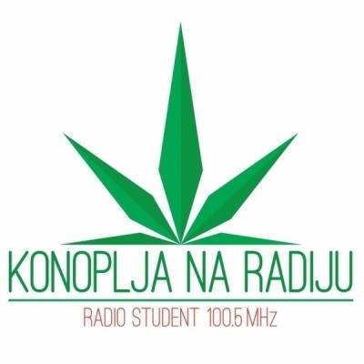 Konoplja na Radiju - Borba obitelji Ribić