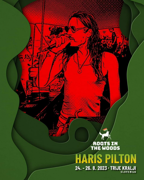 Haris Pilton na Roots In The Woods Festivalu